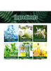 Herbal Lung Cleanse Mist