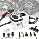 Pressurized Steam Cleaner